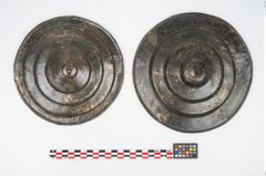Foto von Bronzephalere (NHMW-PRAE-025563)